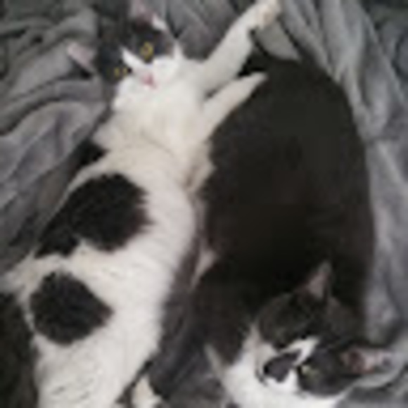 Meet your Posher, Kristin - Picture 1 of 1